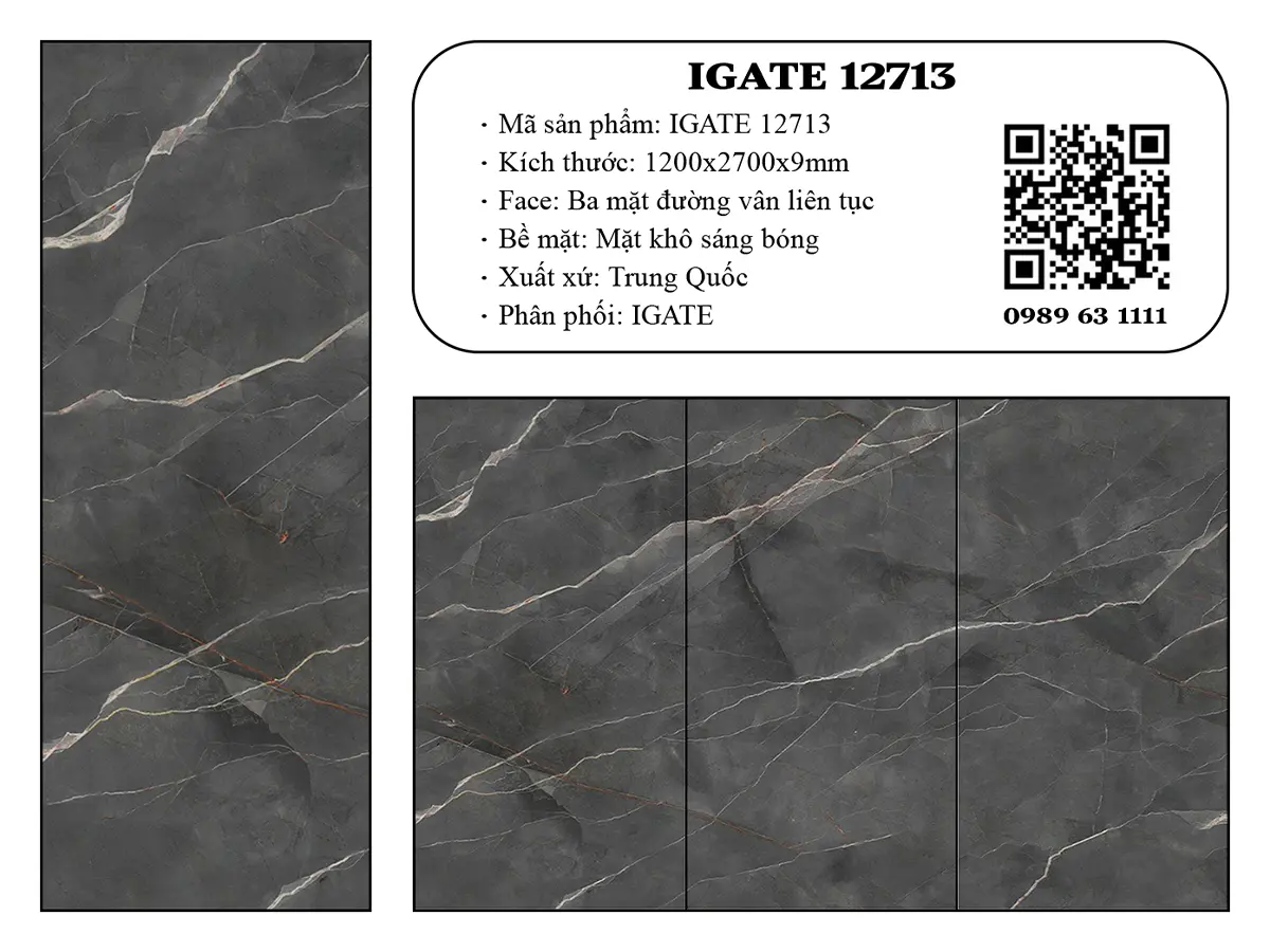 Igate 12713 Dd