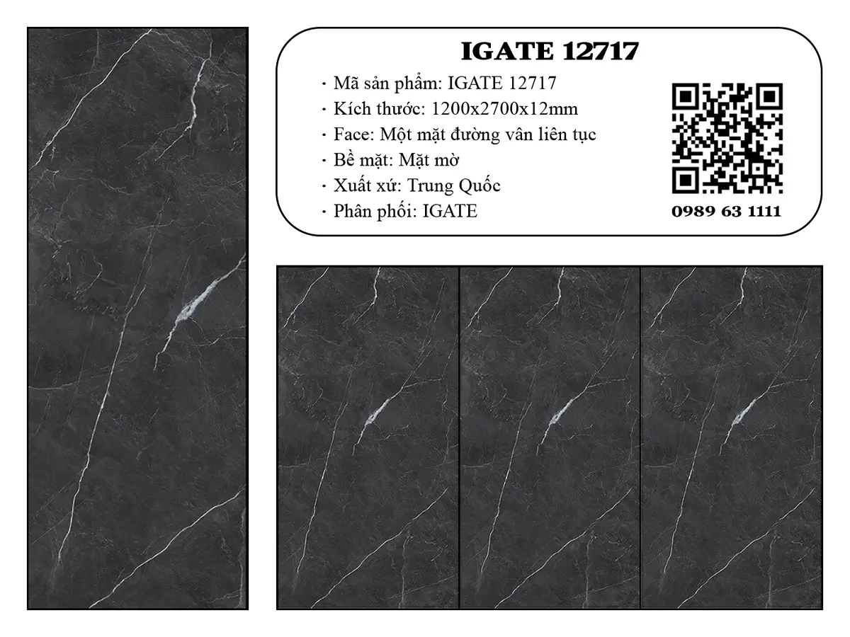 Igate 12717 Dd